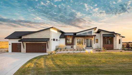 Contemporary with Striking Roofline